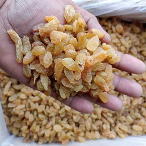 Golden Raisins