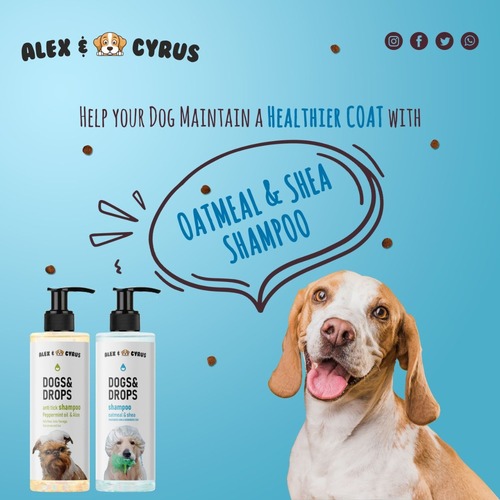 Pet Shampoo for Dog Cat in Private Labeling.