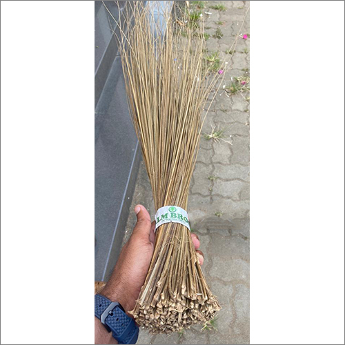 Kerala Broom Application: Household