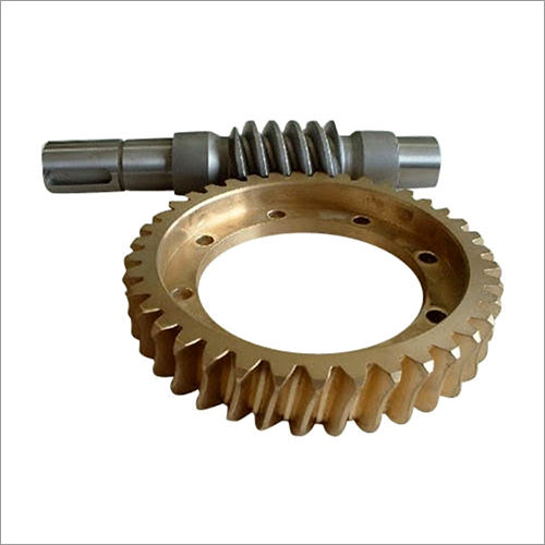 Stainless Steel Worm Ring Gear Set