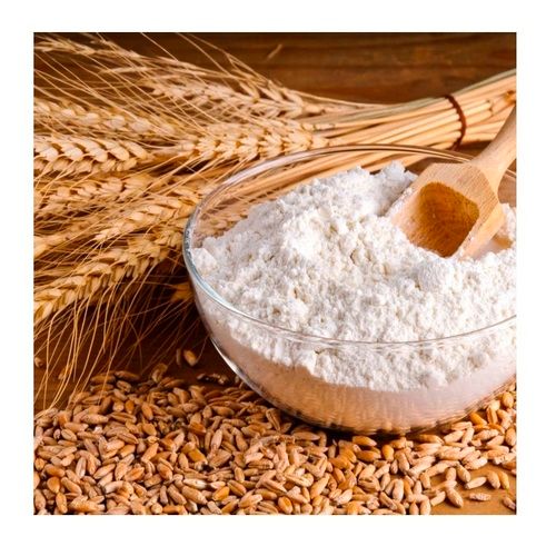 Wholesale Wheat flour For Sale