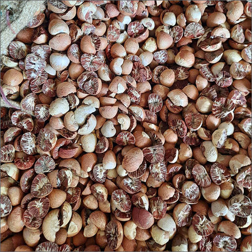 Betel Nut