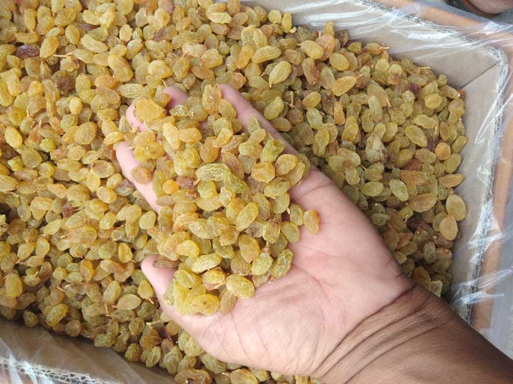 Dried Yellow Raisin