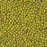 Green Gram