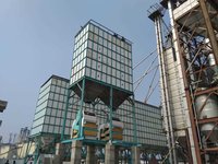 Parboiled Paddy Drier