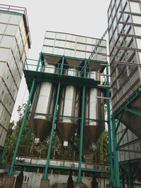 Parboiled Paddy Drier