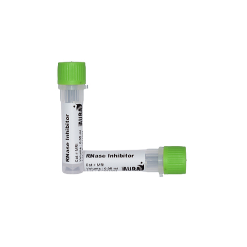RNase Inhibitor