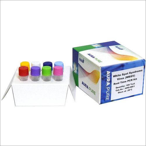 PCR Detection Kit