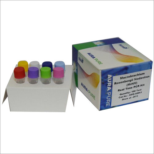 MrNV Pcr Detection Kit