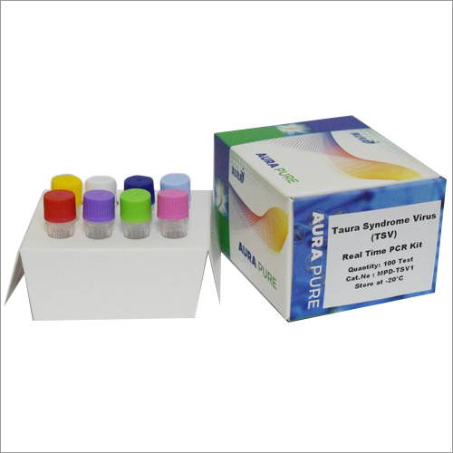 TSV PCR Detection Kit