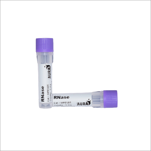 RNase Pancreatic Ribonuclease