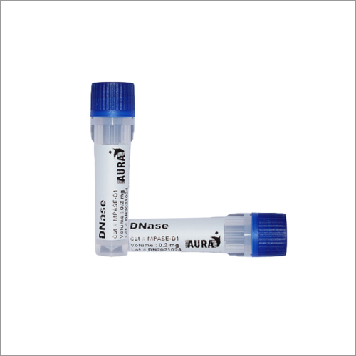 Dnase Enzyme By AURA BIOTECHNOLOGIES PRIVATE LIMITED