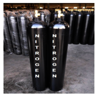 Nitrogen Gas Cylinder Price Large Size Competitive Price