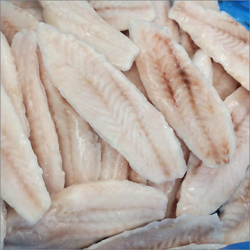 Frozen Grouper Fillet Fish