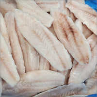 Grouper Fillet Fish