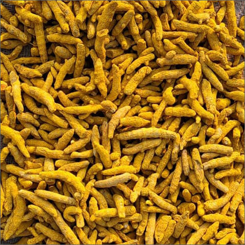Organic Turmeric Finger