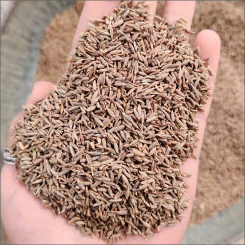 Organic Jeera Seeds