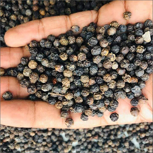 Black Pepper