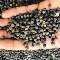 Black Pepper