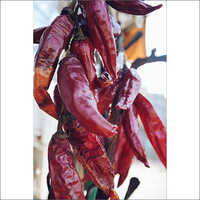 Organic Red Chilli