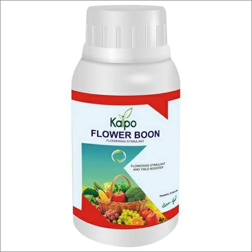 Kaipo Agro Flower Boon