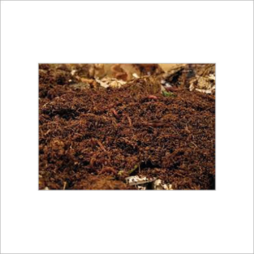 Brown Vermiculture
