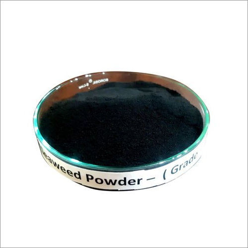 Grade 1 Organic Seaweed Extract Powder