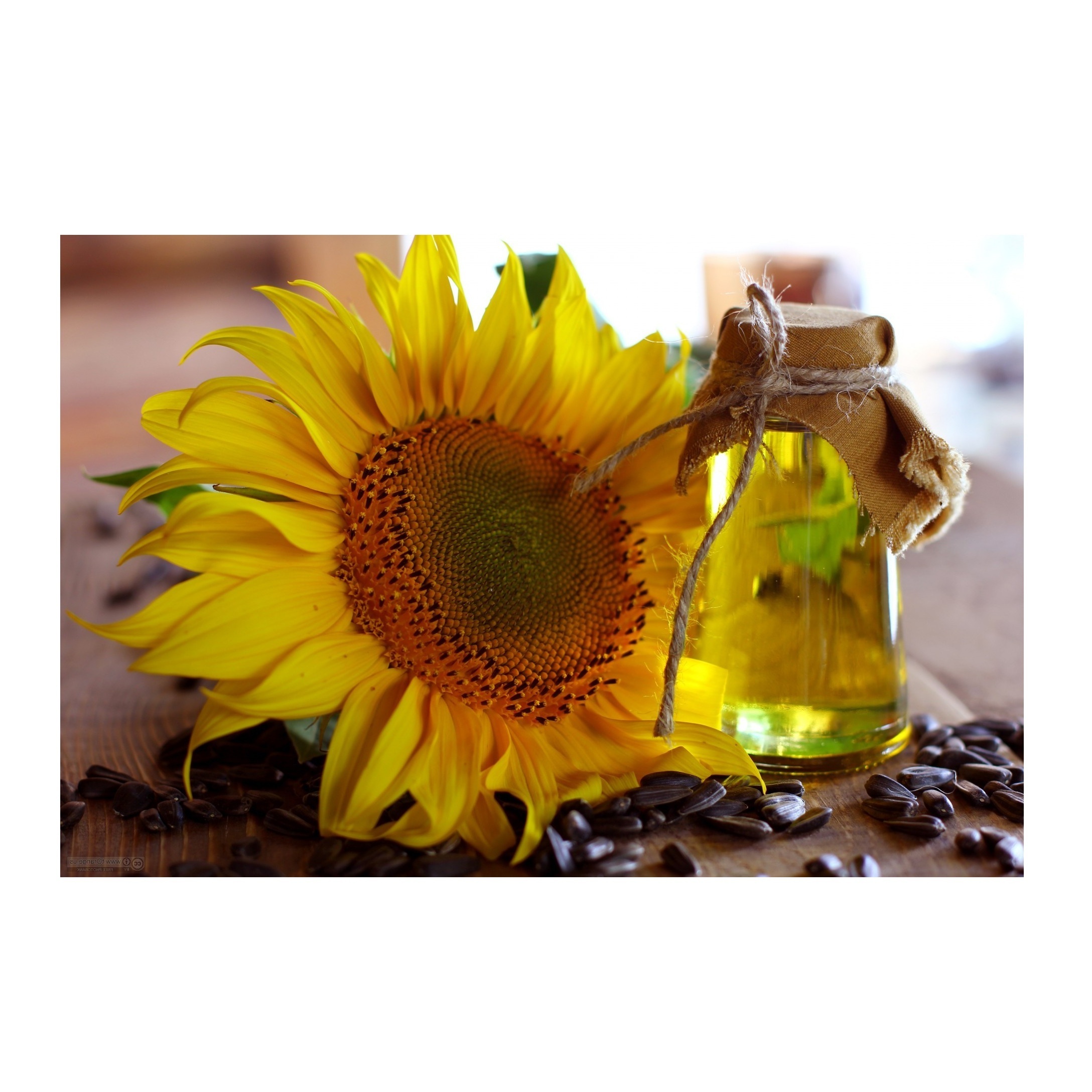 Cheapest Price Refined Sunflower Cooking Oil
