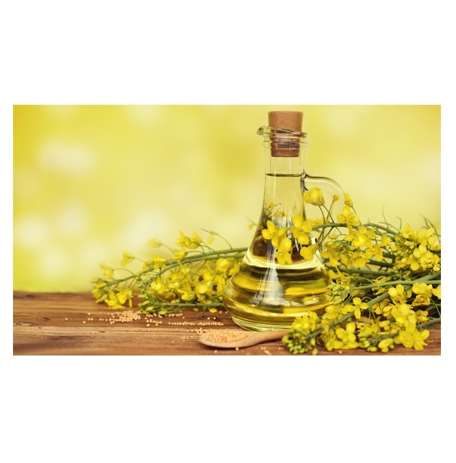 Hot Selling Price Of Refined Rapeseed Oil / Canola Cooking Oil in Bulk