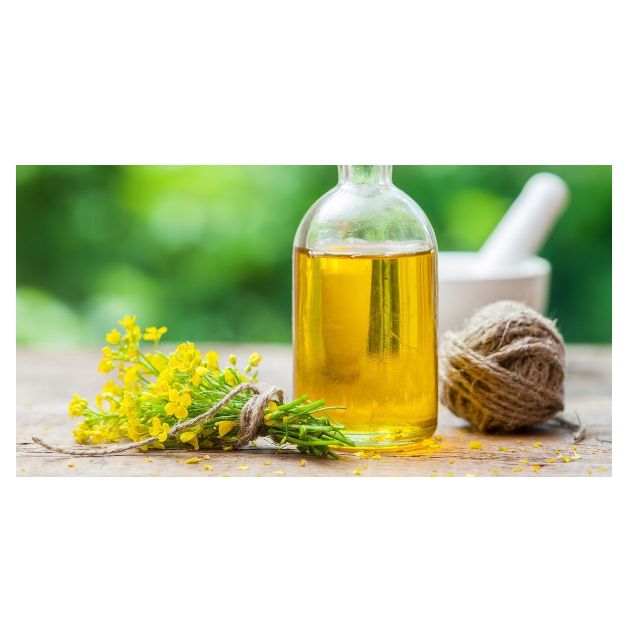 Hot Selling Price Of Refined Rapeseed Oil / Canola Cooking Oil in Bulk