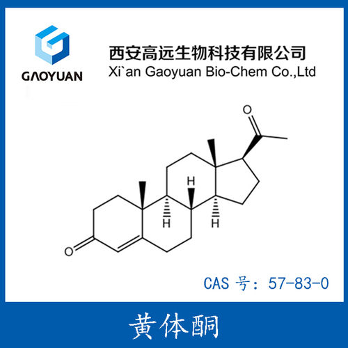 Progesterone powder