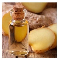 Hot Selling Price Of Refined Ginger Oil in Bulk