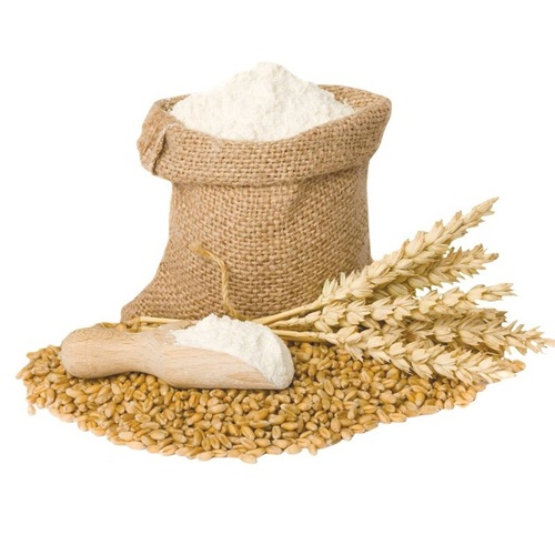 Top Quality Organic Wheat Flour at Low Price