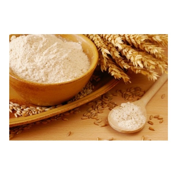Top Quality Organic Wheat Flour at Low Price