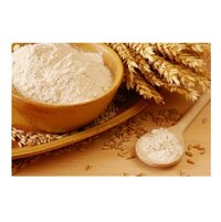 Top Quality Organic Wheat Flour at Low Price