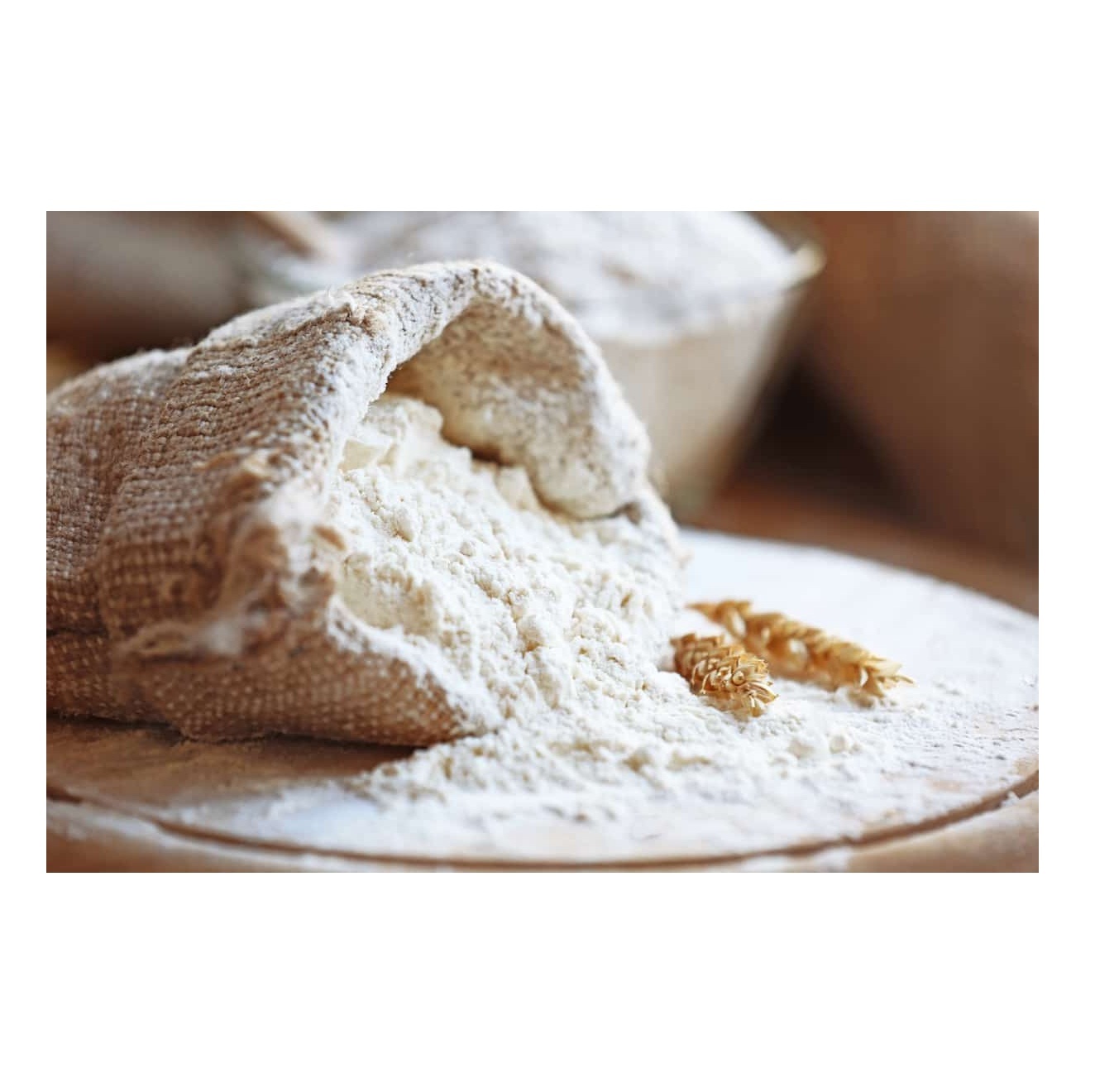 Top Quality Organic Wheat Flour at Low Price