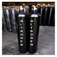 Top Quality Nitrogen Gas Cylinder Price Large Size Competitive Price