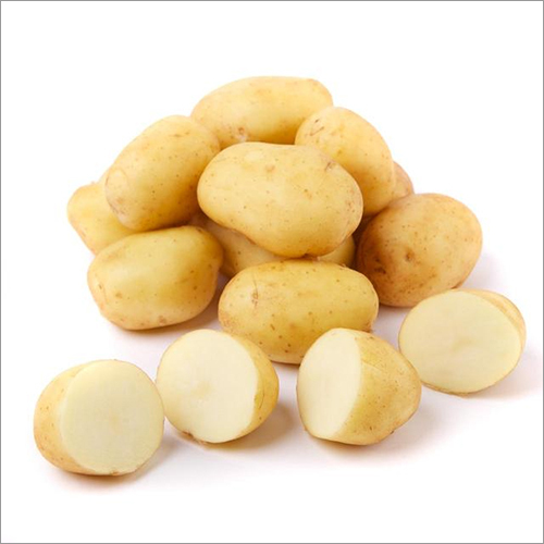 Fresh Potato