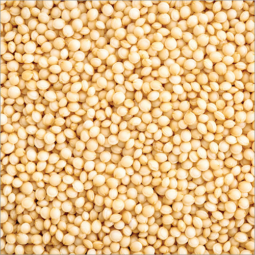 Amaranth Grains
