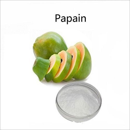 Papain Enzymes
