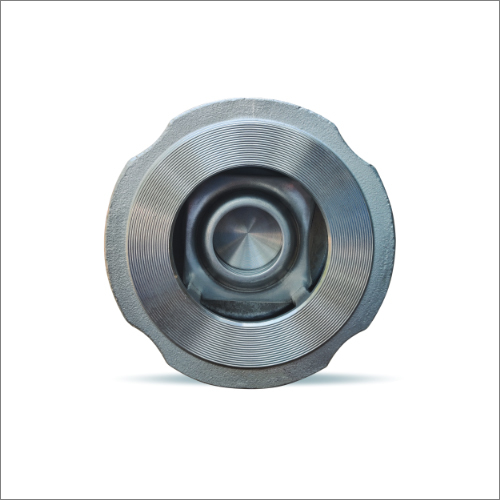 Industrial Non Slam Check Valves