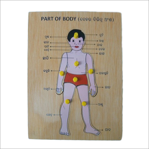 Wooden Parts Of Body Puzzle