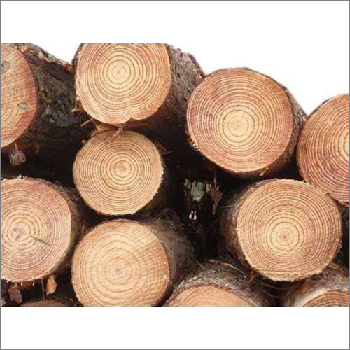 Pine Wood Round Logs