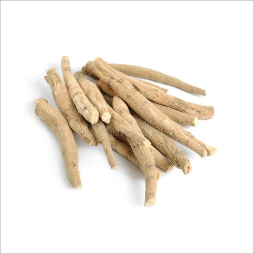 Fresh Ashwagandha Roots - Solid Form, 99% Purity | Mild Smell, Naturally Medicinal and Detoxifying
