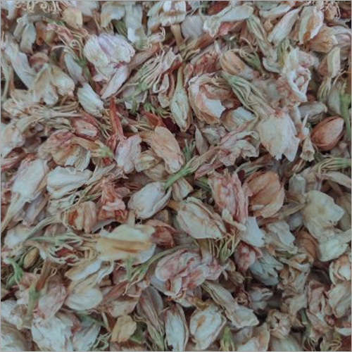 Dry Jasmine Flower