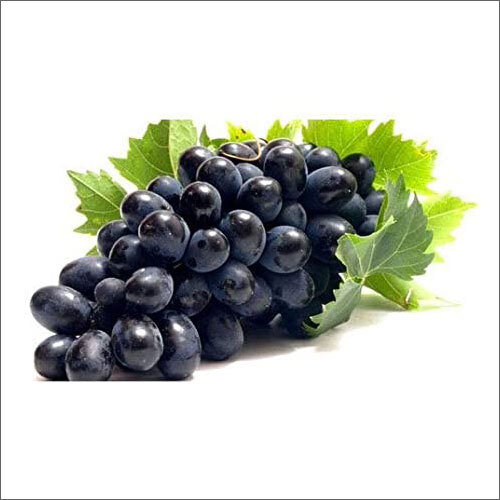 Common Fresh Black Grapes