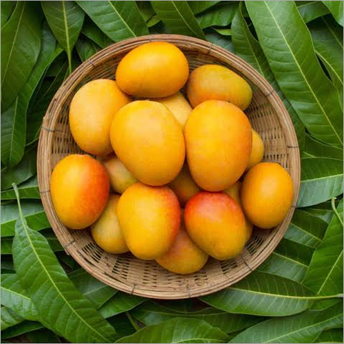 Fresh Fruits