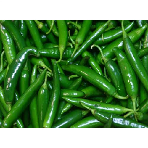 Fresh Green Chili Moisture (%): Nil