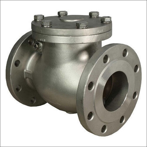 Swing Check Valves By Ashok Traders