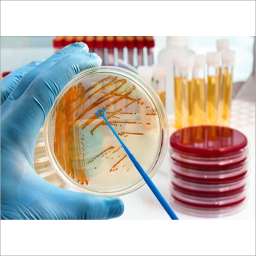 Industrial Bio Culture Chemical